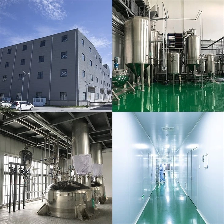 Organic Coconut Water Powder suppliers